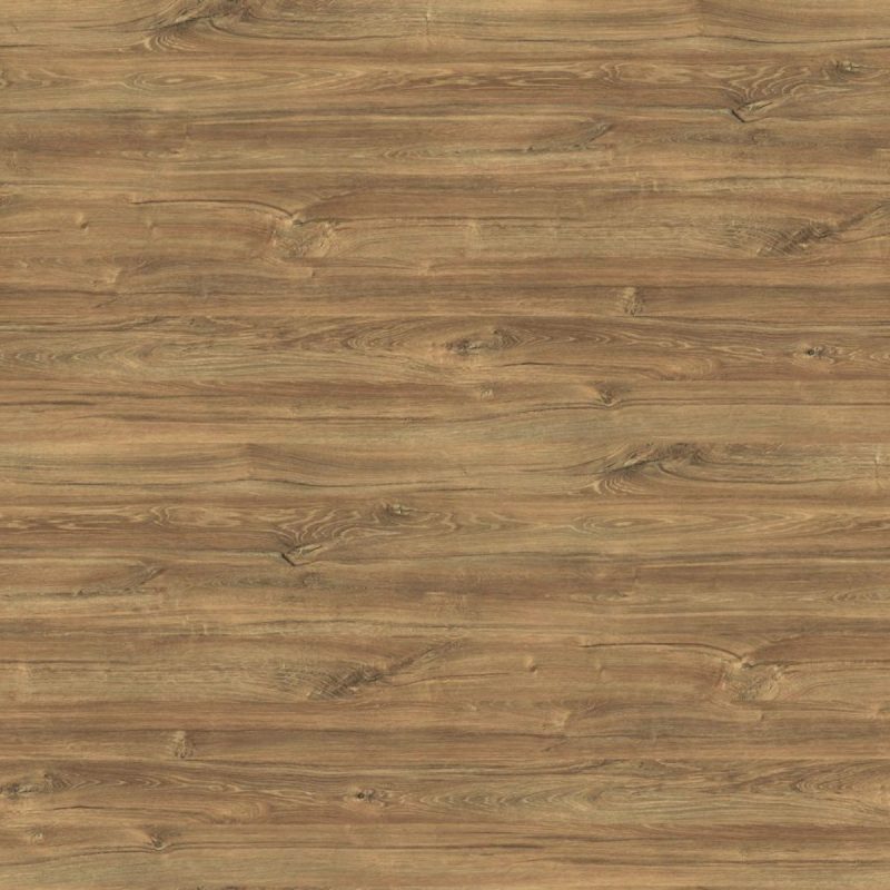 FS1111 W2 Дуб Крымский